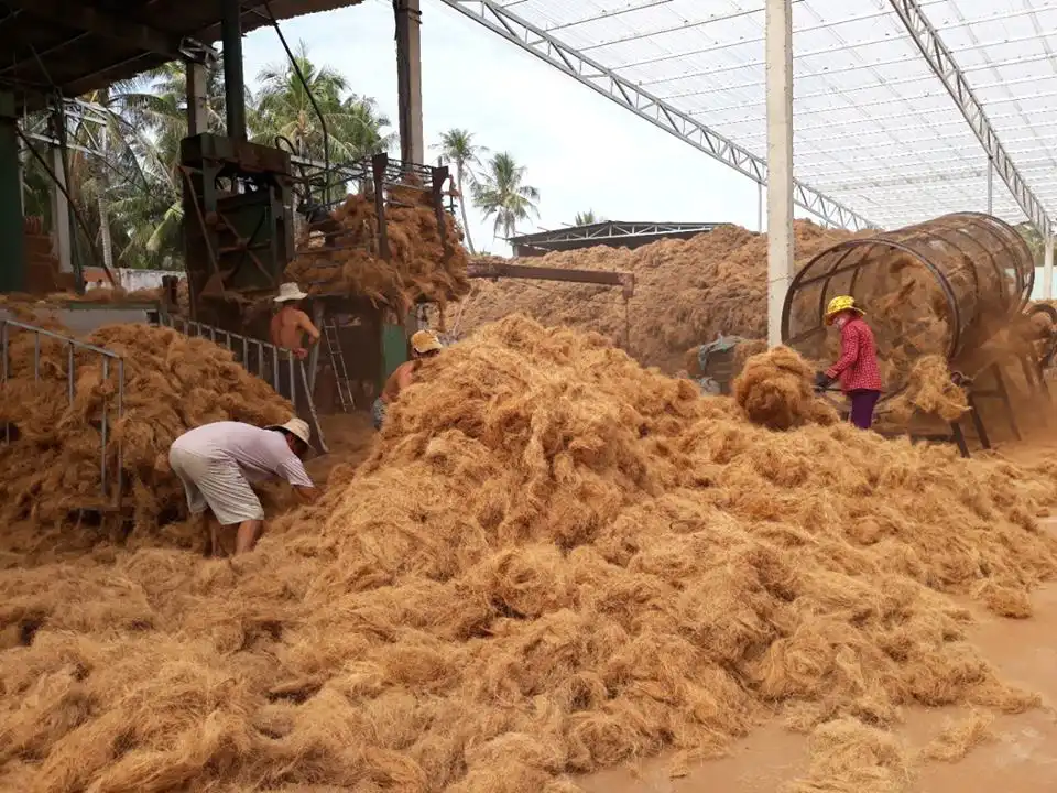 Coconut Fiber